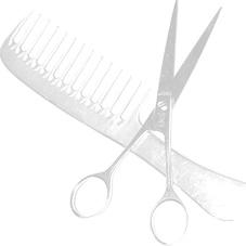 logo coiffure