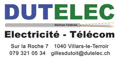 logo dutelec